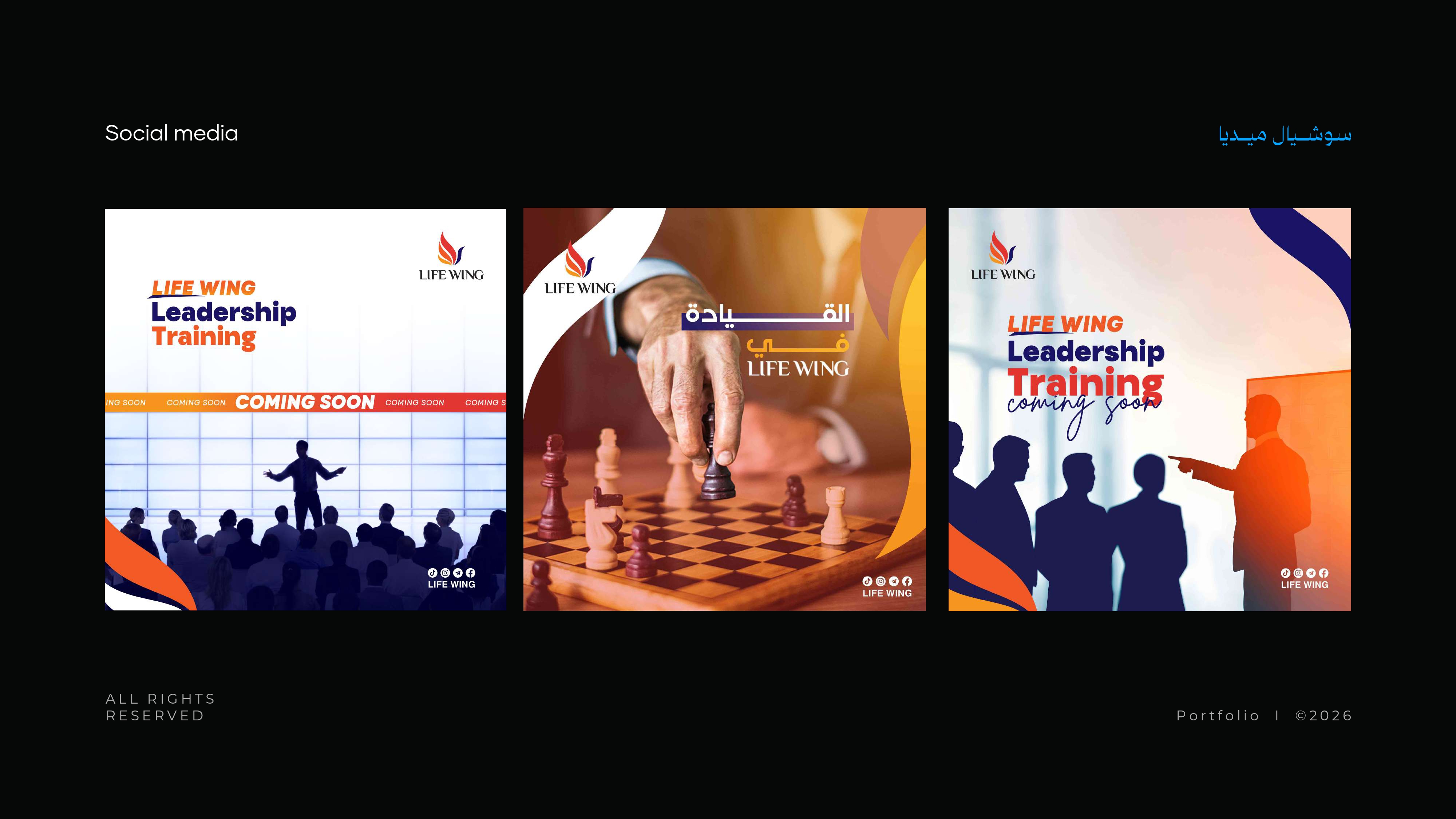 Advertising System Portfolio Example